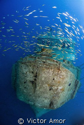 Cloud fish by Victor Amor 